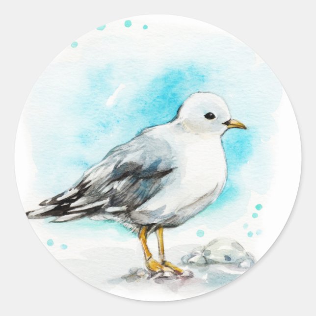 Adesivo Estudo de Seagull 1 (Frente)