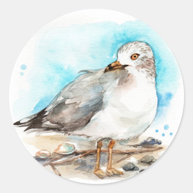 Adesivo Estudo de Seagull 2 (Frente)