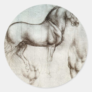Adesivo Estudo dos cavalos - Leonardo da Vinci