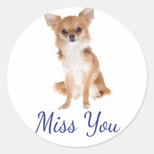 Adesivo Etiqueta Cachorrinho Chihuahua Miss You