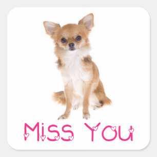 Adesivo Etiqueta Cachorrinho Chihuahua Miss You