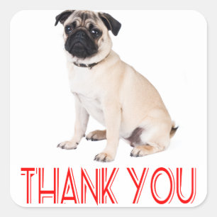 Adesivo / Etiqueta de Agradecimento Pug Cachorrinh
