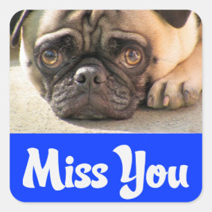 Adesivo / Etiqueta de Saudade de Cachorrinho Pug