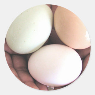 Adesivo Etiqueta, ovos aninhados nas mãos, arte da foto