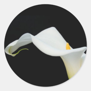 Adesivo Etiqueta/selo do lírio de Calla