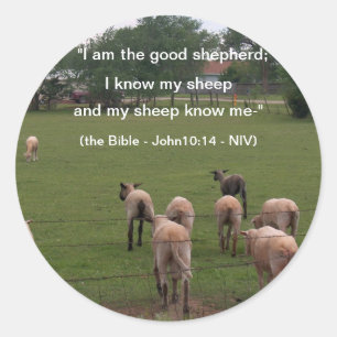 Adesivo Etiquetas/carneiros