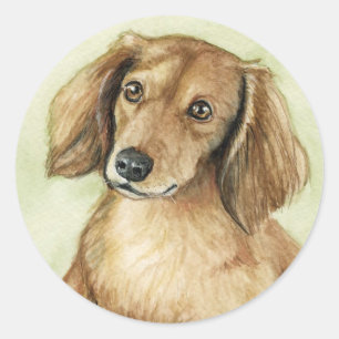 Adesivo "Etiquetas da arte do cão do Dachshund de cabelos