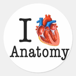 Adesivo Eu adoro Anatomia