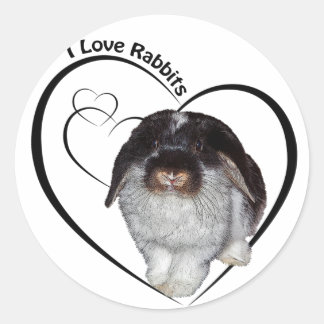 Adesivo Eu Adoro Coelhos