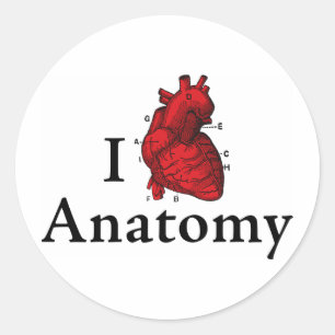 Adesivo Eu amo a anatomia
