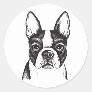 Adesivo Eu amo Boston Terriers