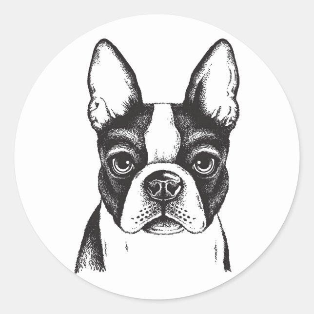 Adesivo Eu amo Boston Terriers (Frente)