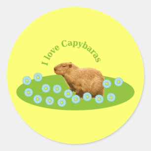 Adesivo Eu amo Capybaras
