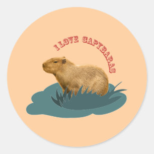 Adesivo Eu amo capybaras