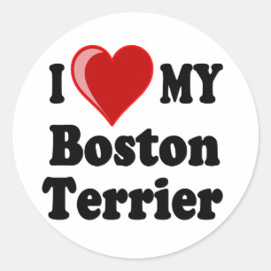 Adesivo Eu amo (coração) meu cão de Boston Terrier