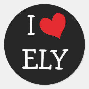 Adesivo Eu Amo Ely