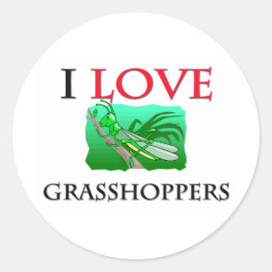 Adesivo Eu amo gafanhotos