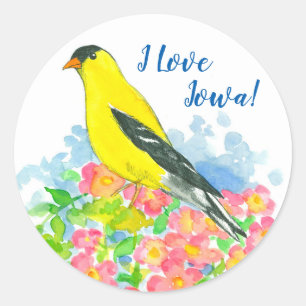 Adesivo Eu amo Iowa Goldfinch Prairie Rosa