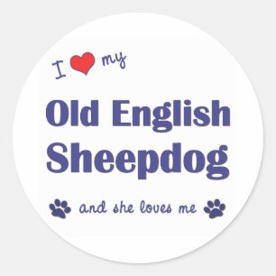 Adesivo Eu Amo Meu Antigo Cão Inglês (Cachorro Feminino)