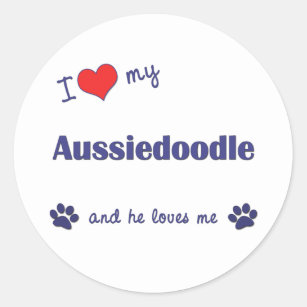 Adesivo Eu amo meu Aussiedoodle (o cão masculino)