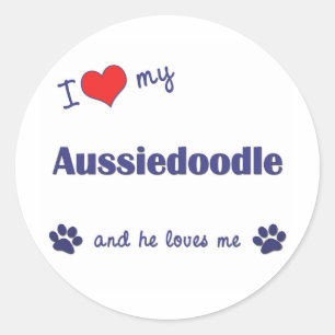 Adesivo Eu amo meu Aussiedoodle (o cão masculino)