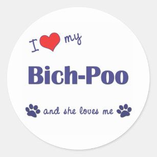 Adesivo Eu amo meu Bich-Poo (o cão fêmea)