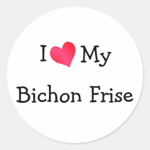 Adesivo Eu amo meu Bichon Frise