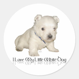 Adesivo Eu Amo Meu Cachorrinho Branco - Filhote Westie