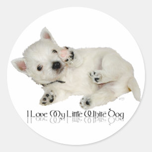 Adesivo Eu Amo Meu Cachorrinho Branco - Filhote Westie