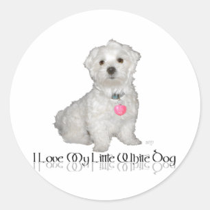 Adesivo Eu amo meu cão branco pequeno - maltês!