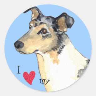 Adesivo Eu amo meu Collie liso