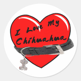 Adesivo Eu amo meu coração da chihuahua com coleira de c