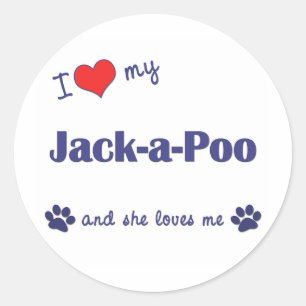 Adesivo Eu amo meu Jack-um-Poo (o cão fêmea)