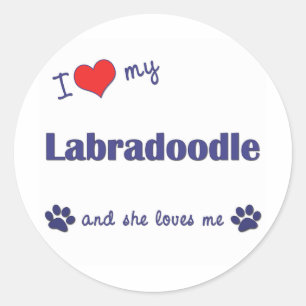 Adesivo Eu amo meu Labradoodle (o cão fêmea)
