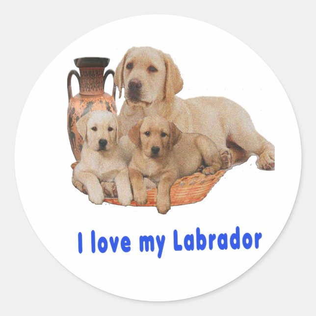 Adesivo Eu amo meu Labrador (Frente)