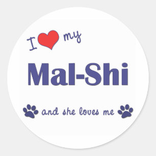 Adesivo Eu amo meu Mal-Shi (o cão fêmea)