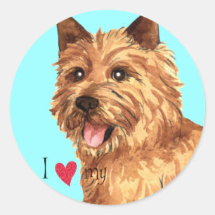 Adesivo Eu amo meu Norwich Terrier
