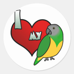 Adesivo Eu amo meu papagaio de Senegal