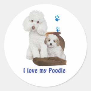 Adesivo Eu amo meu Poodle