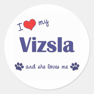 Adesivo Eu amo meu Vizsla (o cão fêmea)