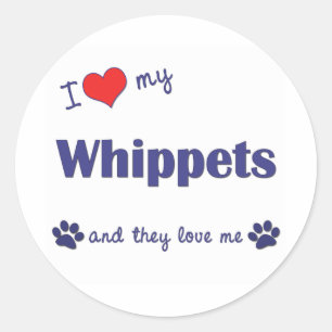 Adesivo Eu amo meu Whippets (os cães múltiplos)