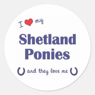 Adesivo Eu amo meus pôneis de Shetland (os pôneis