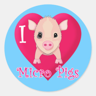 Adesivo Eu amo micro porcos