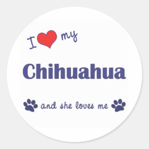 Adesivo Eu amo minha chihuahua (o cão fêmea)