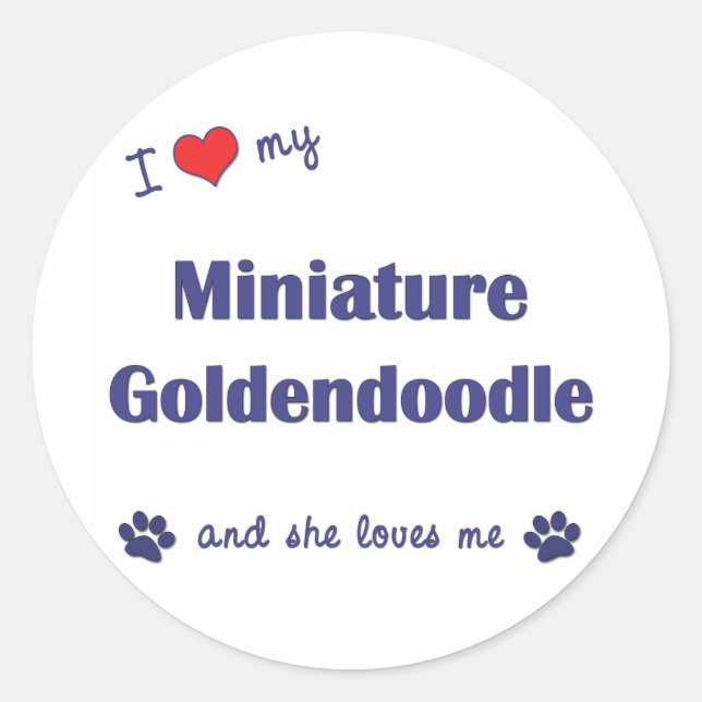 Adesivo Eu Amo Minha Miniatura Goldendoodle (Cachorro Femi (Frente)