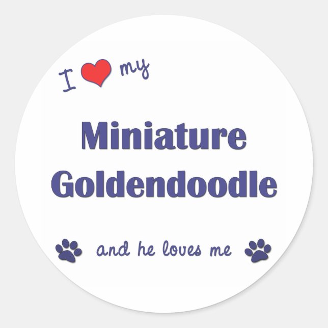 Adesivo Eu Amo Minha Miniatura Goldendoodle (Cachorro Masc (Frente)