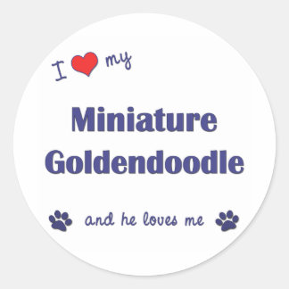 Adesivo Eu Amo Minha Miniatura Goldendoodle (Cachorro Masc
