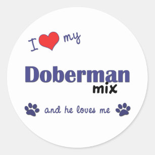 Adesivo Eu amo minha mistura do Doberman (o cão masculino)