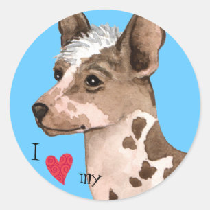 Adesivo Eu amo minha orquídea peruana do Inca