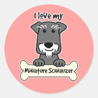 Eu Amo Miniatura Schnauzers